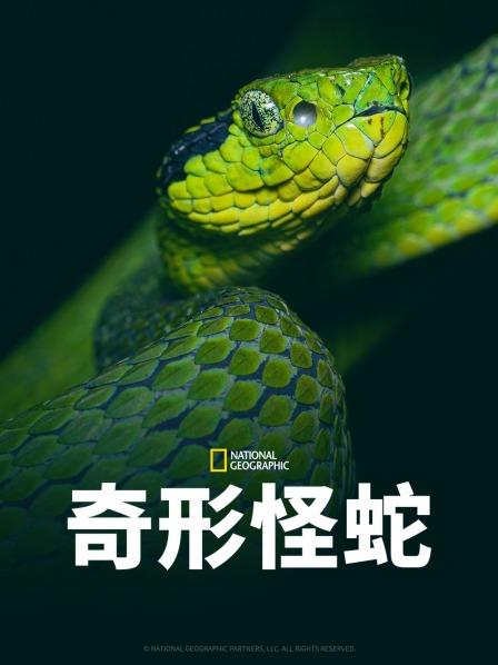 91香蕉视频《奇形怪蛇》免费在线观看